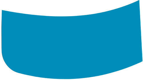 placeholder credit card